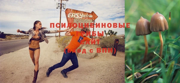амф Зеленодольск