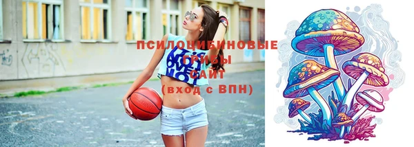 амф Зеленодольск