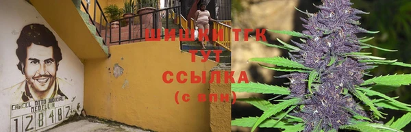 PSILOCYBIN Инта