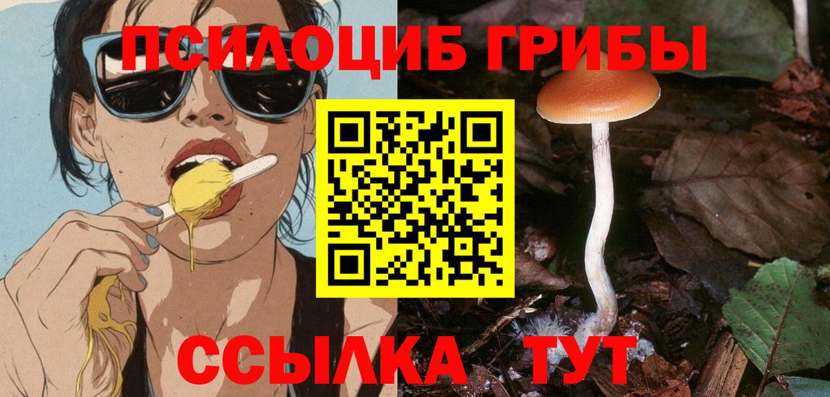 Псилоцибиновые грибы Psilocybine cubensis  Вход с VPN  Малгобек 