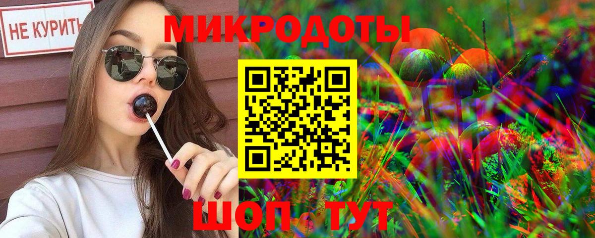 Псилоцибиновые грибы Cubensis Малгобек